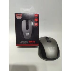 QLT Legend WM12 fashion wireless mouse